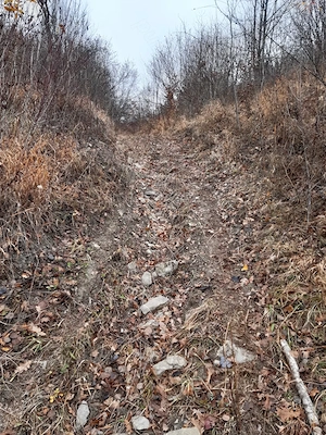 5000 mp teren in Potoci, Neamt - imagine 10