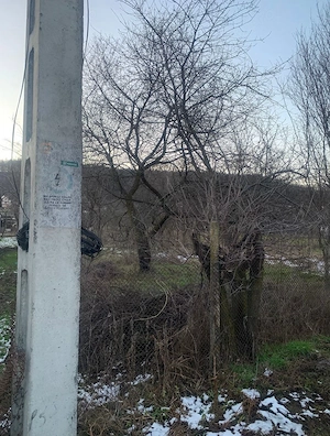 Teren Mărăcineni  - imagine 2