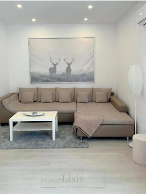 Regim hotelier Lisis premium - imagine 3