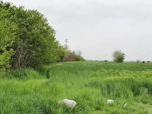 Vidra, Sat Cretesti, vanzare teren, comision 0 - imagine 3