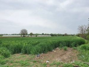 Vidra, Sat Cretesti, vanzare teren, comision 0 - imagine 4