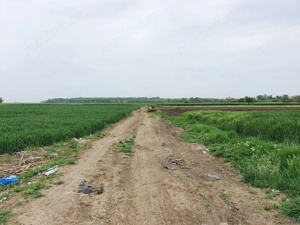 Comuna Vidra, Sat Cretesti, teren extravilan