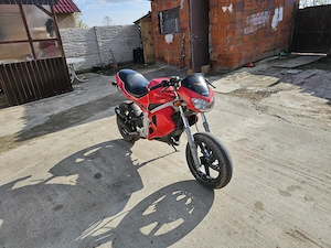 Giliera DNA 2012 - imagine 2