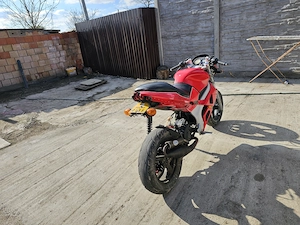 Giliera DNA 2012 - imagine 3