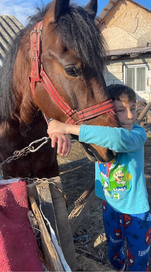 vand cal 7 ani castrat si manza 1 an pachet ambi 10000ron !!!! - imagine 4