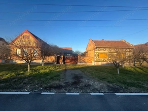 De vanzare proprietate in Belint, jud. Timis – 2 case si teren 7.805 mp