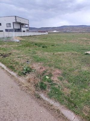 Vand teren - Schela Cladovei - suprafata 3000 mp - imagine 5