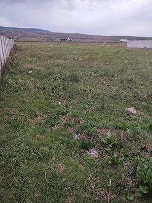 Vand teren - Schela Cladovei - suprafata 3000 mp - imagine 6