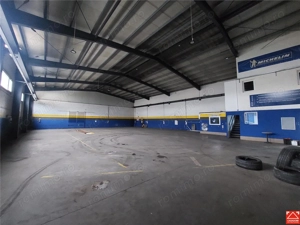 3 hale de inchiriat in Micalaca