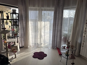 Casă parter, stil mediteranean Domnesti - imagine 4