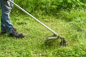 Servicii Grădinărit: Tuns Iarbă, Greblat, Săpat - Vin cu sculele