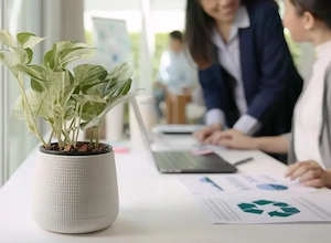 Intocmesc Dosar Prosumator