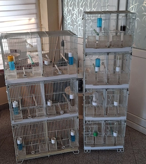 Vand colivii pasari .  - imagine 5