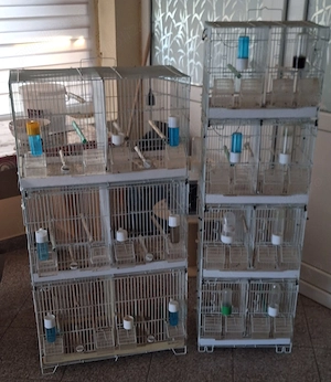 Vand colivii pasari .  - imagine 3