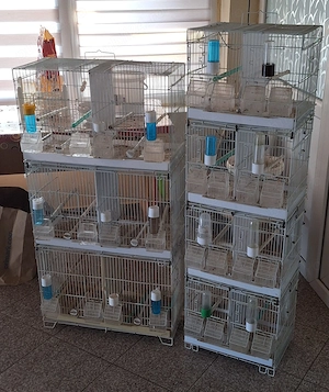 Vand colivii pasari . 