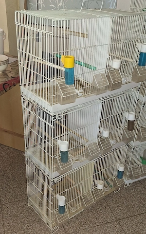 Vand colivii pasari .  - imagine 4