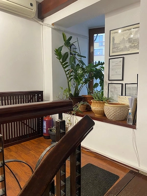 Spatiu comercial ultracentral - Bd. Stefan cel Mare (direct de la proprietar) - imagine 5
