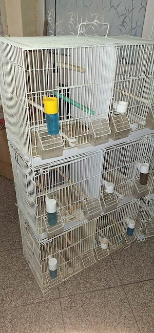 Vand colivii pasari .  - imagine 2