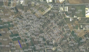 2 loturi de teren INTRAVILAN Bolintin-Deal 7800 mp și 2500 mp Preț negociabil - imagine 3