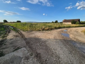 Teren 10.000 mp str. Lalelelor, Bod, Brasov pentru case - imagine 4