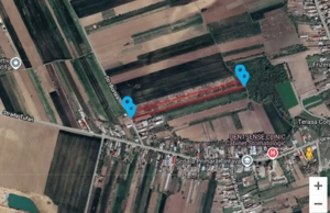 Vand teren in Tintava cu deschidere la PADURE (Gradinari, Giurgiu) - imagine 2