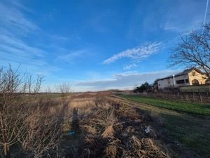 Vand teren in Tintava cu deschidere la PADURE (Gradinari, Giurgiu) - imagine 4