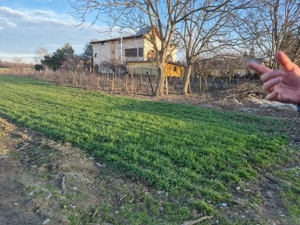 Vand teren in Tintava cu deschidere la PADURE (Gradinari, Giurgiu) - imagine 5