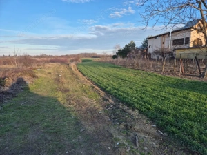 Vand teren in Tandava cu deschidere la PADURE (Gradinari, Giurgiu)