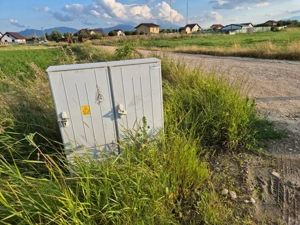 Teren 10.000 mp str. Lalelelor, Bod, Brasov pentru case - imagine 5