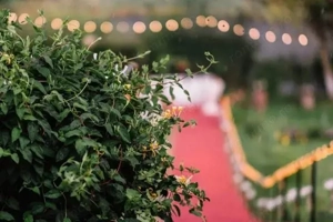 Cort evenimente cu deschidere la lac. Nunti si evenimente programate si in 2026! - imagine 18