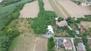 Casă de vacanță / spatiu comercial de vânzare – Frumușani - imagine 5