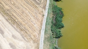 teren la lac Frumusani