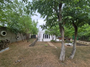 Casă de vacanță / spatiu comercial de vânzare – Frumușani - imagine 3