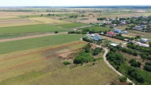 Teren intravilan Darza 1ha langa case deschidere 22 m