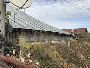 vand casa si teren  - imagine 4