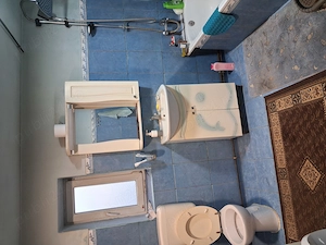 casa otelec - imagine 5