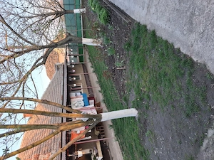 casa otelec - imagine 6