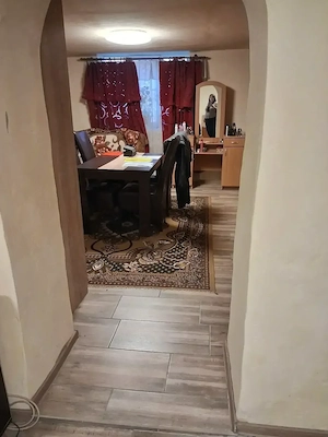 casa otelec - imagine 12