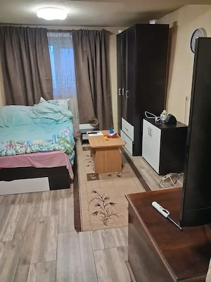 casa otelec - imagine 11