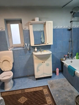 casa otelec - imagine 13