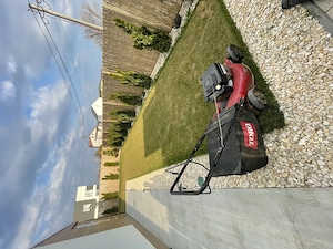 Amenajări și întreținere curți si grădini   servicii complete