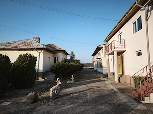 Domeniu Turistic & Viticol  Pensiune - imagine 3