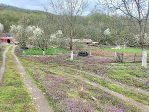 Proprietate deosebită Gurahonț, jud. Arad - imagine 6