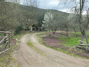 Proprietate deosebită Gurahonț, jud. Arad - imagine 7