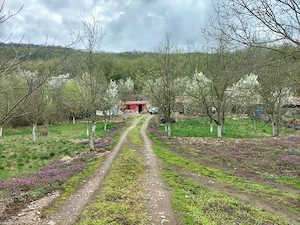 Proprietate deosebită Gurahonț, jud. Arad