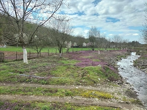 Proprietate deosebită Gurahonț, jud. Arad - imagine 4