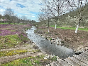 Proprietate deosebită Gurahonț, jud. Arad - imagine 5