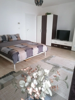 Iulius Mall si Complex Iris regim hotelier Timișoara - imagine 4