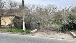  TEREN pentru loc de casa   Socetu Com. Stejaru Jud.Teleorman - imagine 3