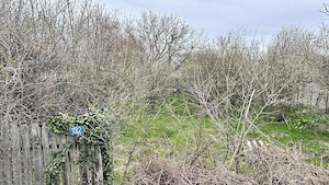  TEREN pentru loc de casa   Socetu Com. Stejaru Jud.Teleorman - imagine 10